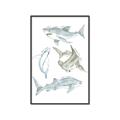 Picture of Sharks _GroupedProduct_Rectangle_Portrait_Mini_ _GroupedProduct_Rectangle_Portrait_Canvas_Framed_