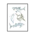 Picture of Sharks _GroupedProduct_Rectangle_Portrait_Mini_ _GroupedProduct_Rectangle_Portrait_Canvas_Framed_