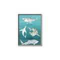 Picture of Sharks Chart _GroupedProduct_Rectangle_Portrait_Mini_ _GroupedProduct_Rectangle_Portrait_Canvas_Framed_