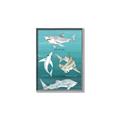 Picture of Sharks Chart _GroupedProduct_Rectangle_Portrait_Mini_ _GroupedProduct_Rectangle_Portrait_Canvas_Framed_