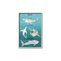 Picture of Sharks Chart _GroupedProduct_Rectangle_Portrait_Mini_ _GroupedProduct_Rectangle_Portrait_Canvas_Framed_