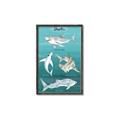 Picture of Sharks Chart _GroupedProduct_Rectangle_Portrait_Mini_ _GroupedProduct_Rectangle_Portrait_Canvas_Framed_