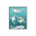 Picture of Sharks Chart _GroupedProduct_Rectangle_Portrait_Mini_ _GroupedProduct_Rectangle_Portrait_Canvas_Framed_