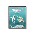 Picture of Sharks Chart _GroupedProduct_Rectangle_Portrait_Mini_ _GroupedProduct_Rectangle_Portrait_Canvas_Framed_