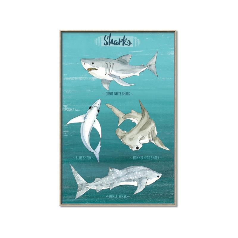 Picture of Sharks Chart _GroupedProduct_Rectangle_Portrait_Mini_ _GroupedProduct_Rectangle_Portrait_Canvas_Framed_