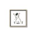 Picture of Baby Zebra _GroupedProduct_Square_Mini_ _GroupedProduct_Square_Canvas_Framed_