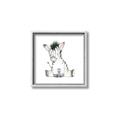 Picture of Baby Zebra _GroupedProduct_Square_Mini_ _GroupedProduct_Square_Canvas_Framed_