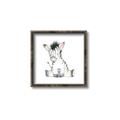 Picture of Baby Zebra _GroupedProduct_Square_Mini_ _GroupedProduct_Square_Canvas_Framed_