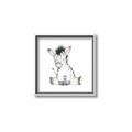 Picture of Baby Zebra _GroupedProduct_Square_Mini_ _GroupedProduct_Square_Canvas_Framed_