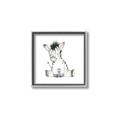 Picture of Baby Zebra _GroupedProduct_Square_Mini_ _GroupedProduct_Square_Canvas_Framed_