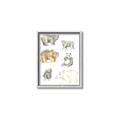 Picture of Bears _GroupedProduct_Rectangle_Portrait_Mini_ _GroupedProduct_Rectangle_Portrait_Canvas_Framed_