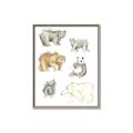 Picture of Bears _GroupedProduct_Rectangle_Portrait_Mini_ _GroupedProduct_Rectangle_Portrait_Canvas_Framed_