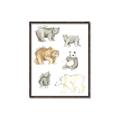 Picture of Bears _GroupedProduct_Rectangle_Portrait_Mini_ _GroupedProduct_Rectangle_Portrait_Canvas_Framed_