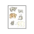 Picture of Bears _GroupedProduct_Rectangle_Portrait_Mini_ _GroupedProduct_Rectangle_Portrait_Canvas_Framed_