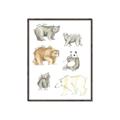 Picture of Bears _GroupedProduct_Rectangle_Portrait_Mini_ _GroupedProduct_Rectangle_Portrait_Canvas_Framed_