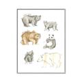 Picture of Bears _GroupedProduct_Rectangle_Portrait_Mini_ _GroupedProduct_Rectangle_Portrait_Canvas_Framed_