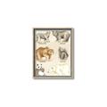 Picture of Bears Chart _GroupedProduct_Rectangle_Portrait_Mini_ _GroupedProduct_Rectangle_Portrait_Canvas_Framed_