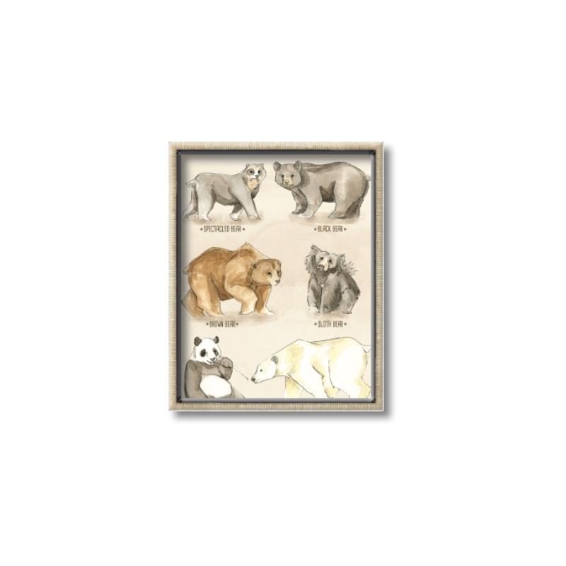 Picture of Bears Chart _GroupedProduct_Rectangle_Portrait_Mini_ _GroupedProduct_Rectangle_Portrait_Canvas_Framed_