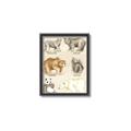 Picture of Bears Chart _GroupedProduct_Rectangle_Portrait_Mini_ _GroupedProduct_Rectangle_Portrait_Canvas_Framed_