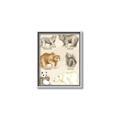 Picture of Bears Chart _GroupedProduct_Rectangle_Portrait_Mini_ _GroupedProduct_Rectangle_Portrait_Canvas_Framed_