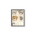 Picture of Bears Chart _GroupedProduct_Rectangle_Portrait_Mini_ _GroupedProduct_Rectangle_Portrait_Canvas_Framed_