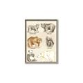 Picture of Bears Chart _GroupedProduct_Rectangle_Portrait_Mini_ _GroupedProduct_Rectangle_Portrait_Canvas_Framed_