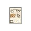 Picture of Bears Chart _GroupedProduct_Rectangle_Portrait_Mini_ _GroupedProduct_Rectangle_Portrait_Canvas_Framed_