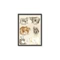 Picture of Bears Chart _GroupedProduct_Rectangle_Portrait_Mini_ _GroupedProduct_Rectangle_Portrait_Canvas_Framed_