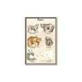 Picture of Bears Chart _GroupedProduct_Rectangle_Portrait_Mini_ _GroupedProduct_Rectangle_Portrait_Canvas_Framed_