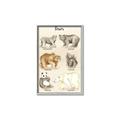 Picture of Bears Chart _GroupedProduct_Rectangle_Portrait_Mini_ _GroupedProduct_Rectangle_Portrait_Canvas_Framed_