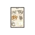 Picture of Bears Chart _GroupedProduct_Rectangle_Portrait_Mini_ _GroupedProduct_Rectangle_Portrait_Canvas_Framed_