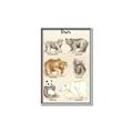 Picture of Bears Chart _GroupedProduct_Rectangle_Portrait_Mini_ _GroupedProduct_Rectangle_Portrait_Canvas_Framed_
