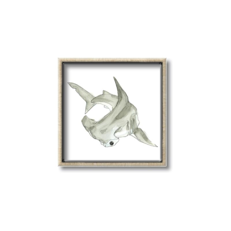 Picture of Hammerhead  _GroupedProduct_Square_Mini_ _GroupedProduct_Square_Canvas_Framed_