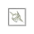 Picture of Hammerhead  _GroupedProduct_Square_Mini_ _GroupedProduct_Square_Canvas_Framed_