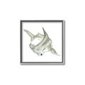 Picture of Hammerhead  _GroupedProduct_Square_Mini_ _GroupedProduct_Square_Canvas_Framed_
