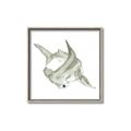 Picture of Hammerhead  _GroupedProduct_Square_Mini_ _GroupedProduct_Square_Canvas_Framed_