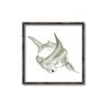 Picture of Hammerhead  _GroupedProduct_Square_Mini_ _GroupedProduct_Square_Canvas_Framed_