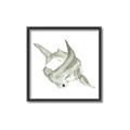 Picture of Hammerhead  _GroupedProduct_Square_Mini_ _GroupedProduct_Square_Canvas_Framed_