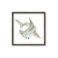 Picture of Hammerhead  _GroupedProduct_Square_Mini_ _GroupedProduct_Square_Canvas_Framed_