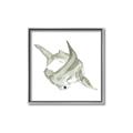 Picture of Hammerhead  _GroupedProduct_Square_Mini_ _GroupedProduct_Square_Canvas_Framed_