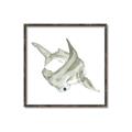 Picture of Hammerhead  _GroupedProduct_Square_Mini_ _GroupedProduct_Square_Canvas_Framed_