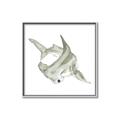 Picture of Hammerhead  _GroupedProduct_Square_Mini_ _GroupedProduct_Square_Canvas_Framed_