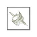 Picture of Hammerhead  _GroupedProduct_Square_Mini_ _GroupedProduct_Square_Canvas_Framed_