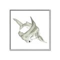 Picture of Hammerhead  _GroupedProduct_Square_Mini_ _GroupedProduct_Square_Canvas_Framed_