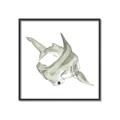 Picture of Hammerhead  _GroupedProduct_Square_Mini_ _GroupedProduct_Square_Canvas_Framed_