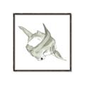 Picture of Hammerhead  _GroupedProduct_Square_Mini_ _GroupedProduct_Square_Canvas_Framed_