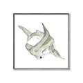 Picture of Hammerhead  _GroupedProduct_Square_Mini_ _GroupedProduct_Square_Canvas_Framed_