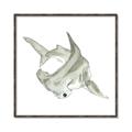 Picture of Hammerhead  _GroupedProduct_Square_Mini_ _GroupedProduct_Square_Canvas_Framed_