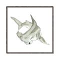 Picture of Hammerhead  _GroupedProduct_Square_Mini_ _GroupedProduct_Square_Canvas_Framed_