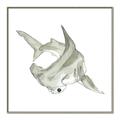 Picture of Hammerhead  _GroupedProduct_Square_Mini_ _GroupedProduct_Square_Canvas_Framed_